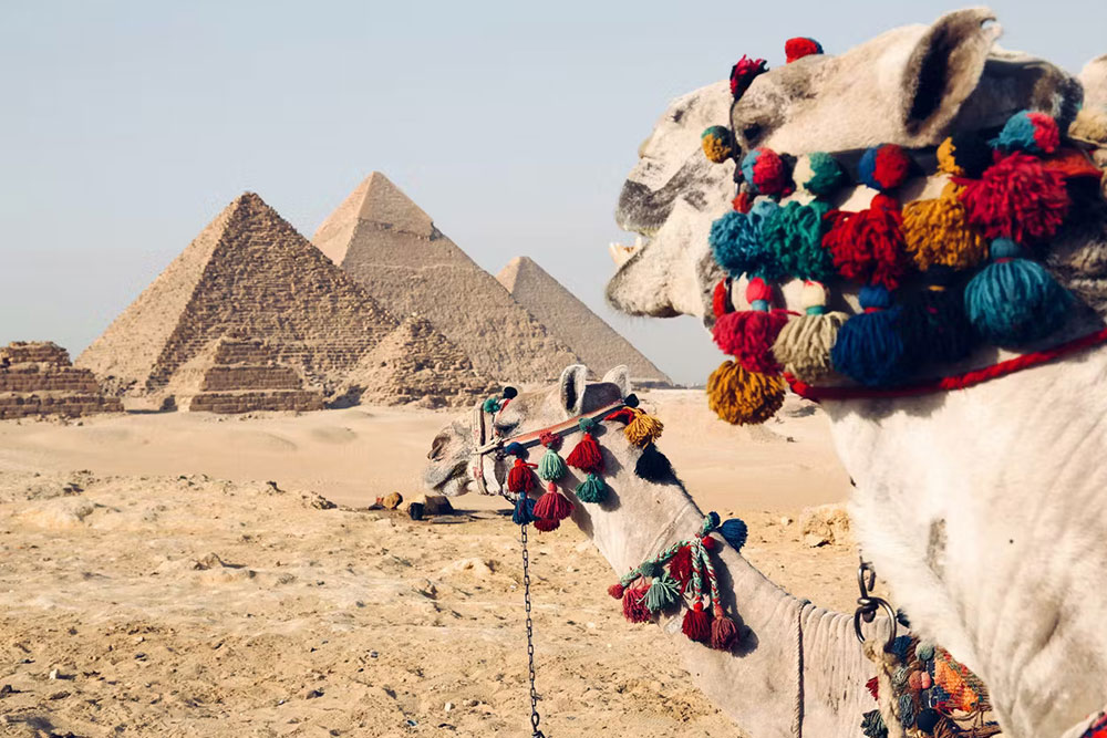 Cairo, Nile Cruise and Hurghada Tour Package